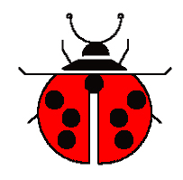 coccinella.jpg