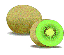 kiwi.jpg