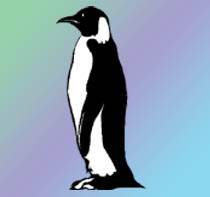 pinguino1.jpg
