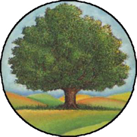 quercia.jpg