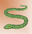 serpente1.jpg