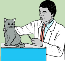 veterinario.jpg